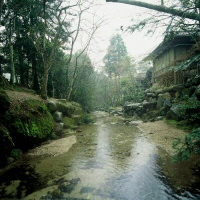 紅葉谷川写真集