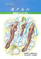 自然に優しい　砂防指定地内河川　滝戸谷川　透過性スリットダム