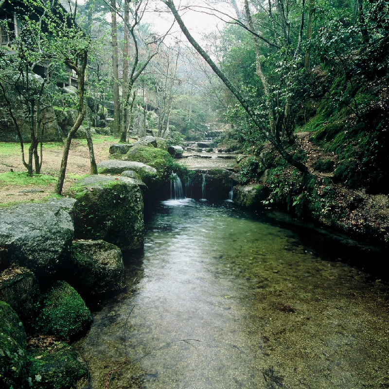 紅葉谷川写真