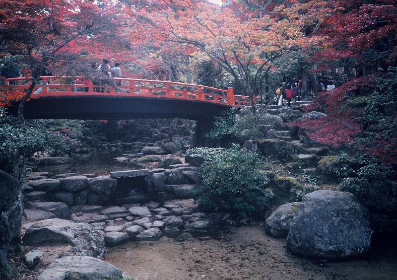 紅葉谷川写真