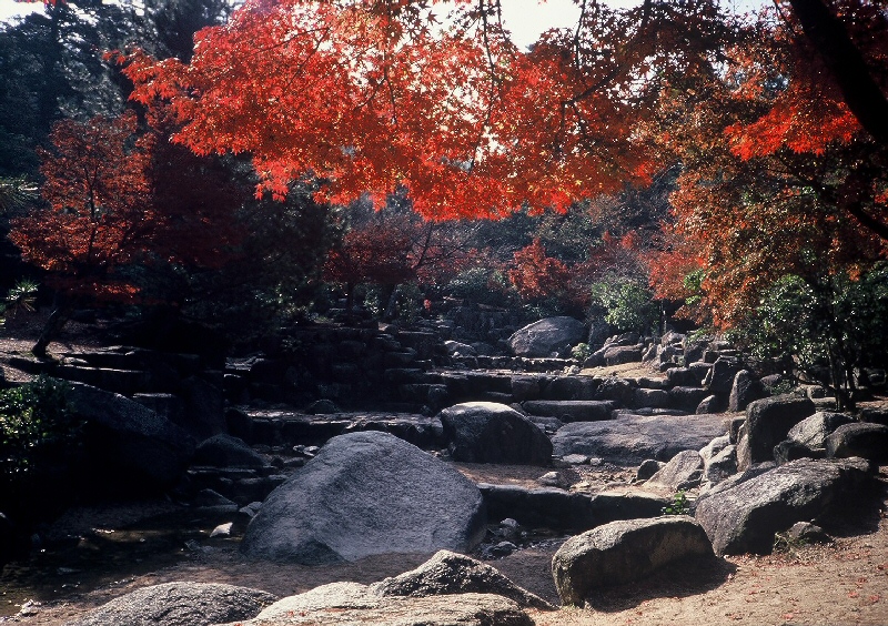 紅葉谷川写真