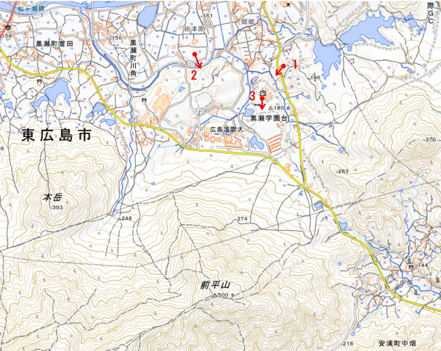 アーカイブ情報