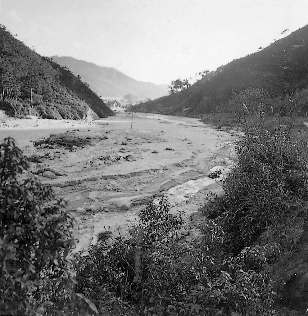 アーカイブ情報