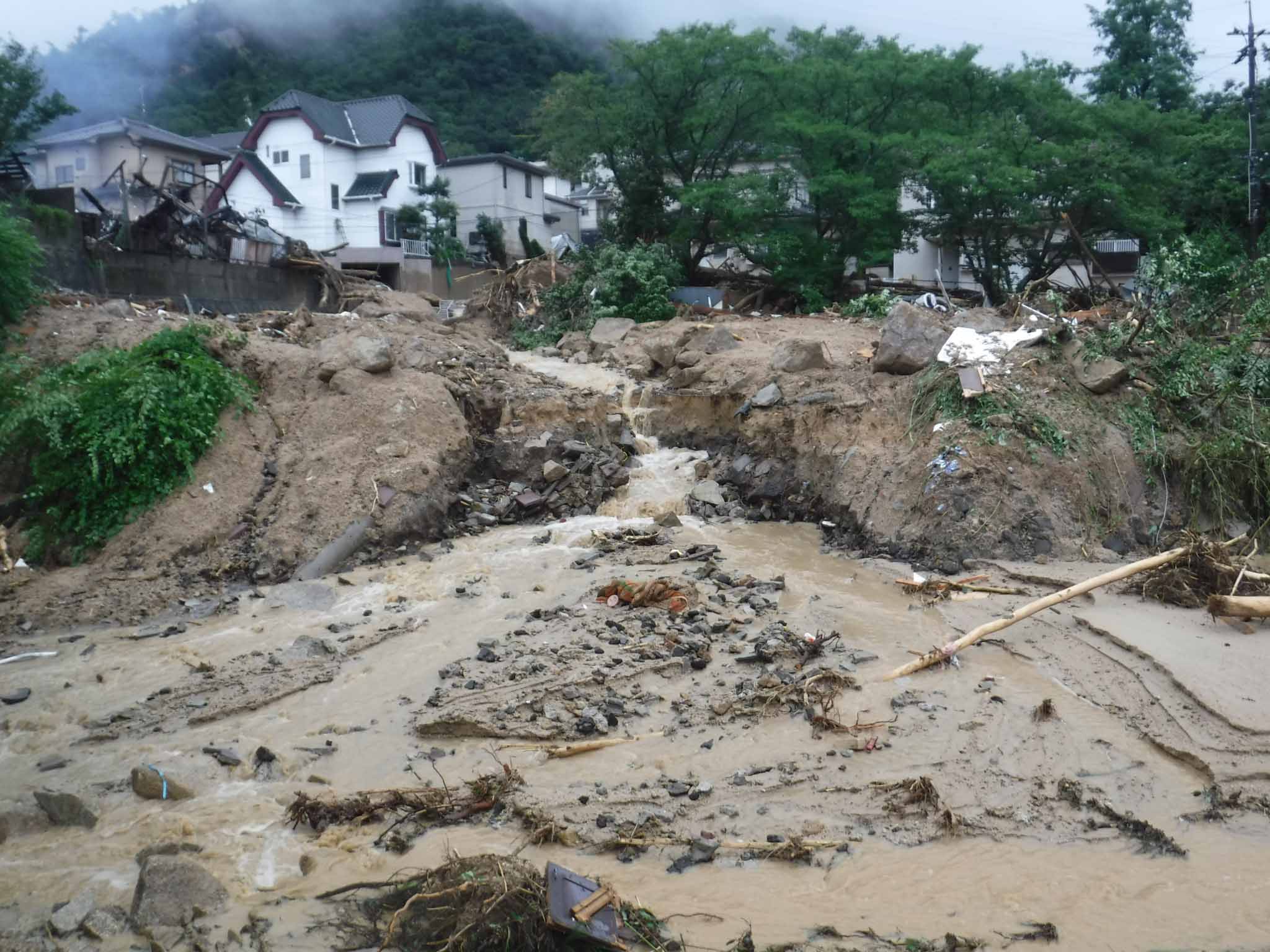 アーカイブ情報
