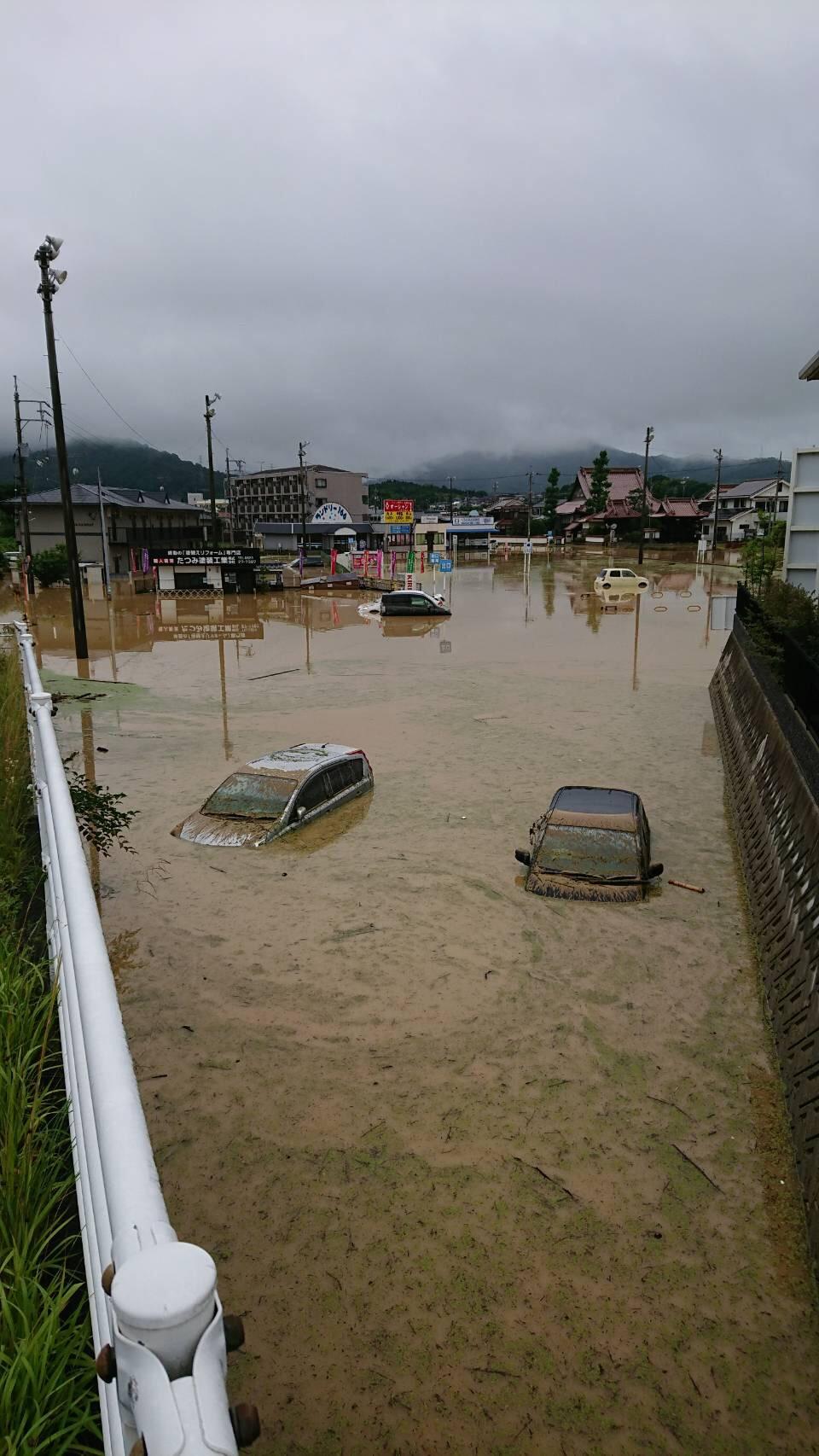 アーカイブ情報