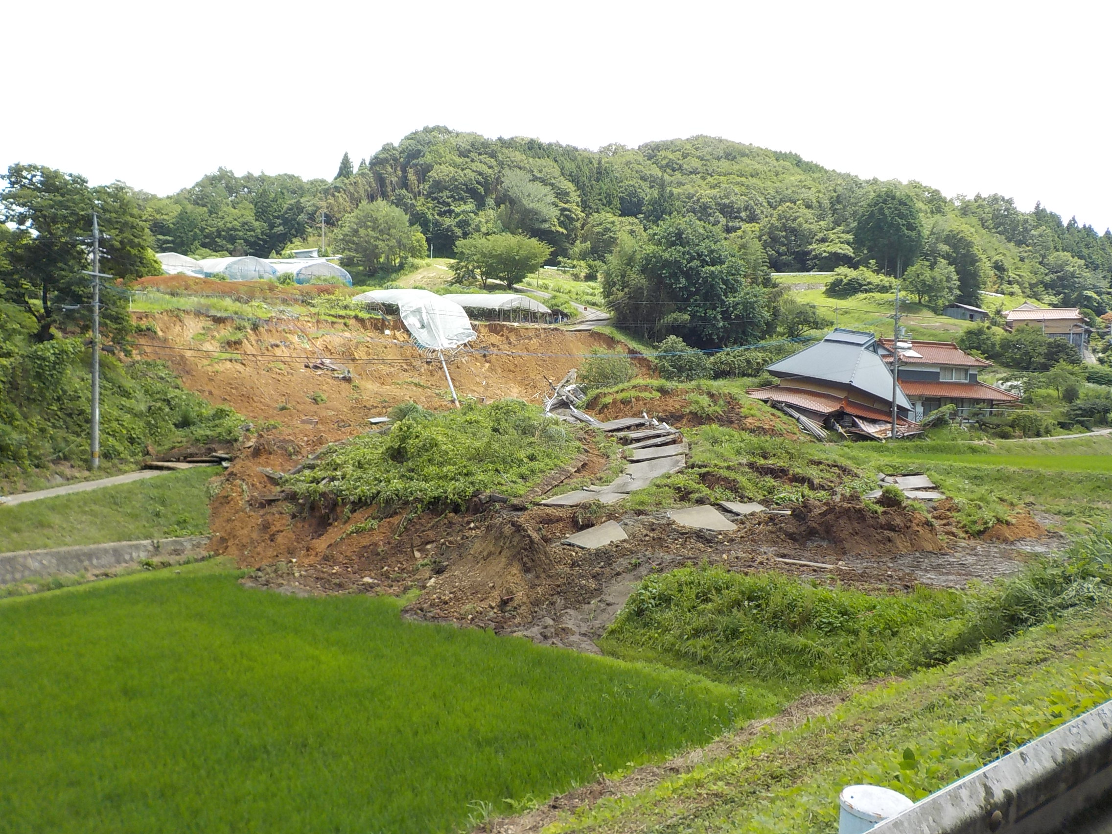 アーカイブ情報
