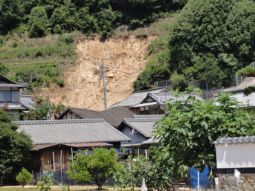 アーカイブ情報